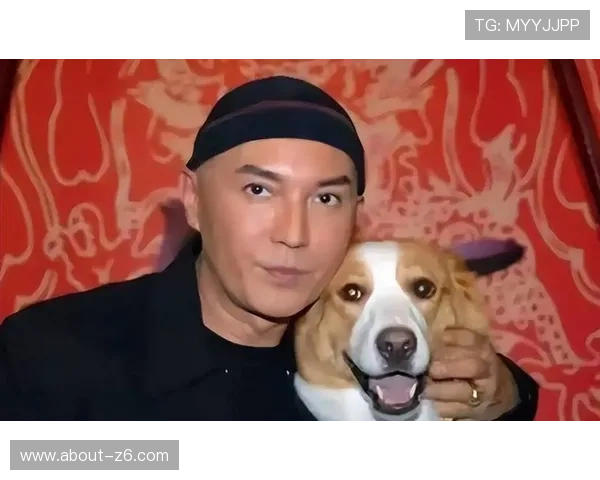 尊龙时凯人生就是搏官网登录：如何在激烈竞争中坚持自我实现梦想