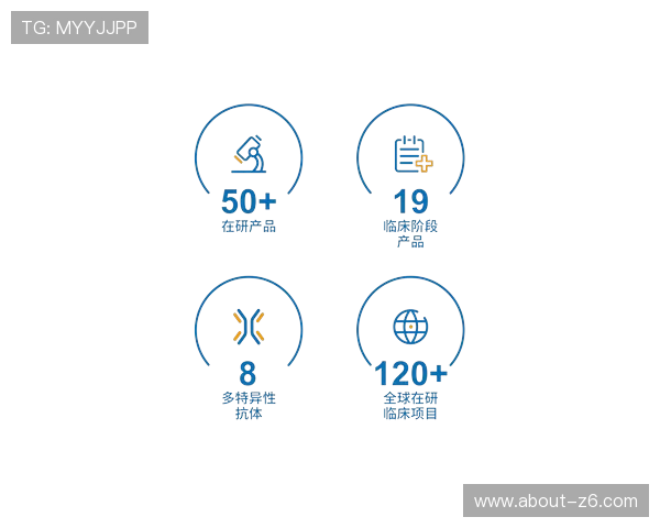 凯时官网网址官方入口地址,提供多种登录方式满足不同需求 凯时官网网址官方入口地址,提供多种登录方式满足不同需求