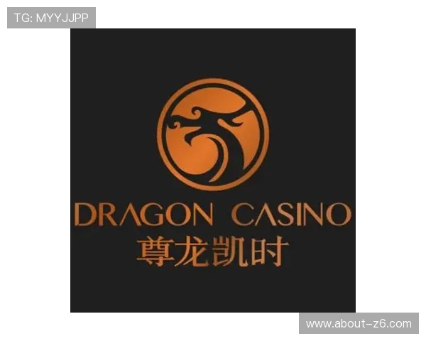 尊龙凯时手机官网为玩家提供专业的技术支持与安全保障措施