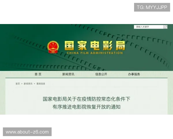 尊龙凯时滚球盘新手入门教程详细介绍投注流程与风险控制技巧